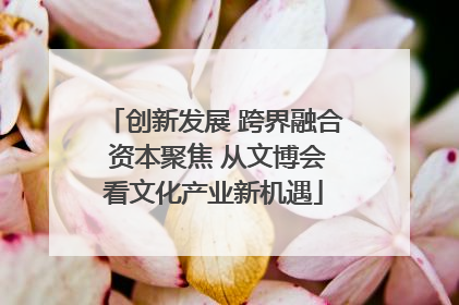 创新发展 跨界融合 资本聚焦 从文博会看文化产业新机遇
