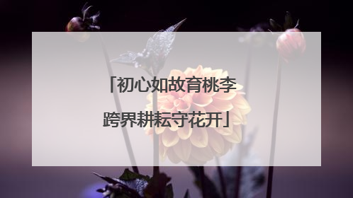 初心如故育桃李 跨界耕耘守花开
