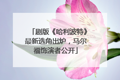 剧版《哈利波特》最新选角出炉，马尔福饰演者公开