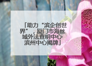 助力“滨企创世界”，厦门市海丝域外法查明中心·滨州中心揭牌