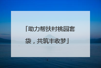 助力帮扶村桃园套袋，共筑丰收梦