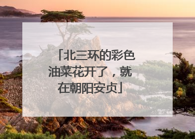北三环的彩色油菜花开了，就在朝阳安贞