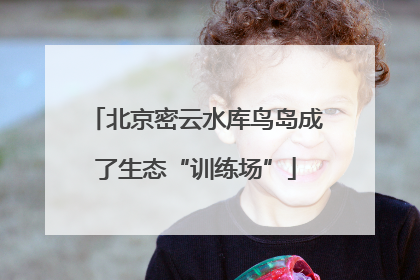 北京密云水库鸟岛成了生态“训练场”