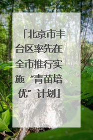 北京市丰台区率先在全市推行实施“青苗培优”计划