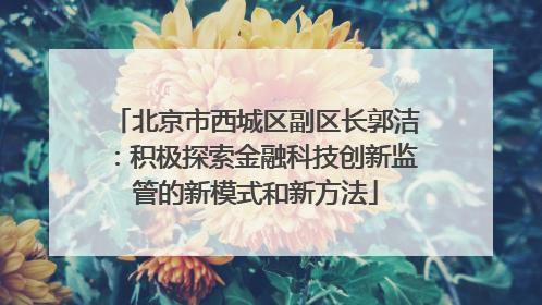 北京市西城区副区长郭洁：积极探索金融科技创新监管的新模式和新方法