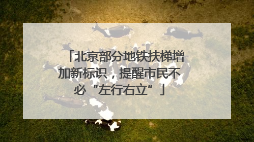 北京部分地铁扶梯增加新标识，提醒市民不必“左行右立”
