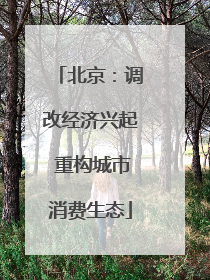 北京：调改经济兴起 重构城市消费生态