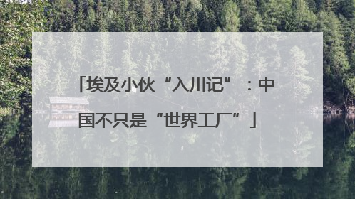埃及小伙“入川记”：中国不只是“世界工厂”