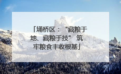 埇桥区：“藏粮于地、藏粮于技” 筑牢粮食丰收根基