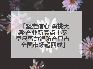 坚定信心 勇挑大梁·产业新亮点丨秦皇岛智慧消防产品占全国市场超四成