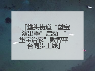 垡头街道“垡宝演出季”启动 “垡宝治家”数智平台同步上线