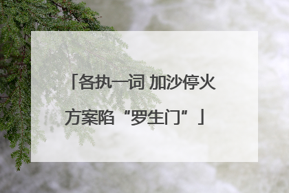 各执一词 加沙停火方案陷“罗生门”