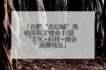 合肥“北幻城”亮相深圳文博会 打造“文化+科技+商业”消费场景