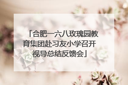 合肥一六八玫瑰园教育集团赴习友小学召开视导总结反馈会