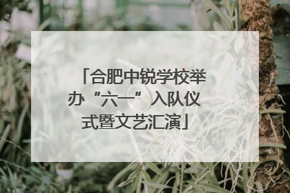 合肥中锐学校举办“六一”入队仪式暨文艺汇演