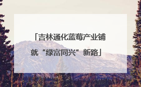 吉林通化蓝莓产业铺就“绿富同兴”新路