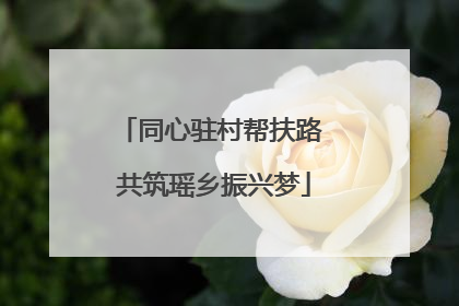 同心驻村帮扶路 共筑瑶乡振兴梦