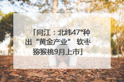 同江：北纬47°种出“黄金产业” 软枣猕猴桃9月上市