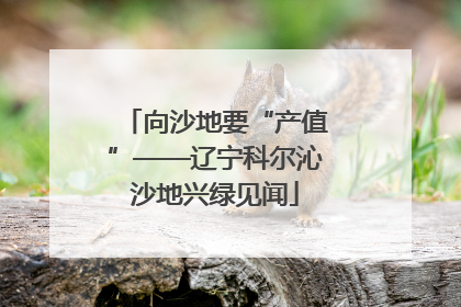 向沙地要“产值”——辽宁科尔沁沙地兴绿见闻