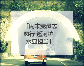 周末党员志愿行 巡河护水显担当