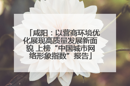 咸阳：以营商环境优化展现高质量发展新面貌 上榜“中国城市网络形象指数”报告