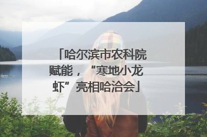 哈尔滨市农科院赋能，“寒地小龙虾”亮相哈洽会