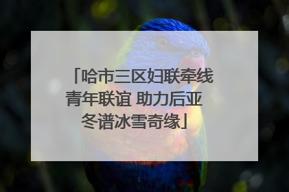 哈市三区妇联牵线青年联谊 助力后亚冬谱冰雪奇缘