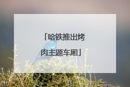 哈铁推出烤肉主题车厢