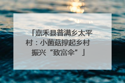 嘉禾县普满乡太平村：小菌菇撑起乡村振兴“致富伞”