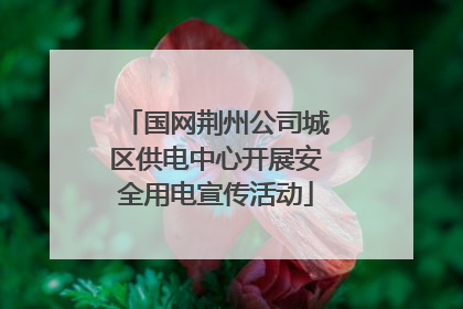 国网荆州公司城区供电中心开展安全用电宣传活动