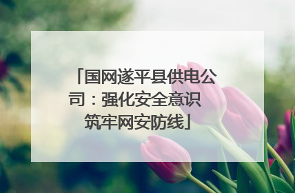 国网遂平县供电公司：强化安全意识 筑牢网安防线