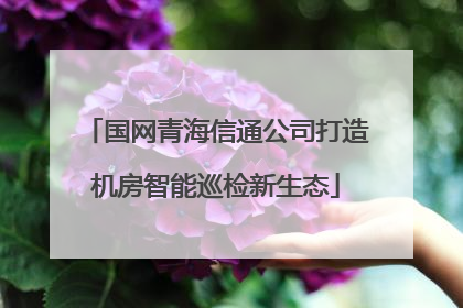 国网青海信通公司打造机房智能巡检新生态