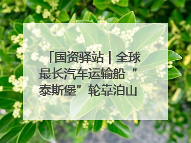 国资驿站｜全球最长汽车运输船“泰斯堡”轮靠泊山东港口烟台港；渤海最大油气平台完成浮托安装
