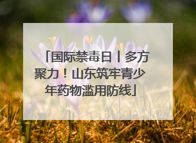 国际禁毒日丨多方聚力！山东筑牢青少年药物滥用防线