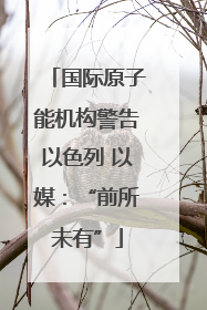国际原子能机构警告以色列 以媒：“前所未有”