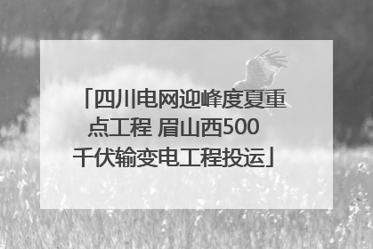 四川电网迎峰度夏重点工程 眉山西500千伏输变电工程投运