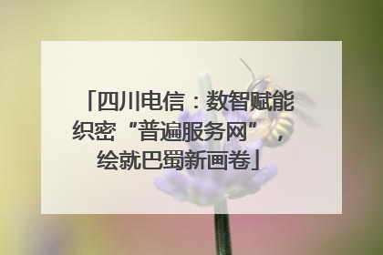 四川电信：数智赋能织密“普遍服务网”，绘就巴蜀新画卷