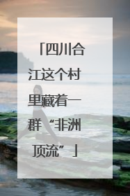 四川合江这个村里藏着一群“非洲顶流”