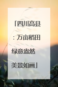 四川高县：万亩稻田绿意盎然 美景如画