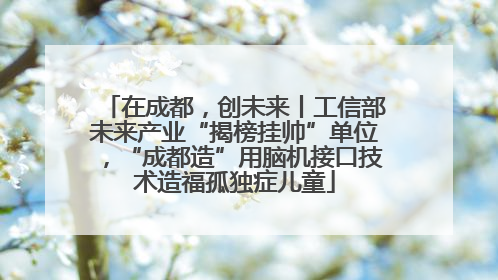 在成都，创未来丨工信部未来产业“揭榜挂帅”单位，“成都造”用脑机接口技术造福孤独症儿童