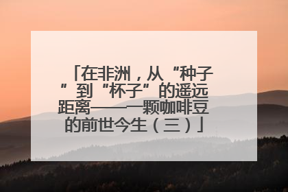 在非洲，从“种子”到“杯子”的遥远距离——一颗咖啡豆的前世今生（三）