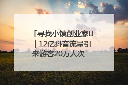 寻找小镇创业家㊱｜12亿抖音流量引来游客20万人次 “襄阳许三多”爆改家乡打造网红村