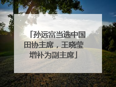 孙远富当选中国田协主席，王晓莹增补为副主席