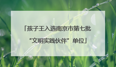 孩子王入选南京市第七批“文明实践伙伴”单位