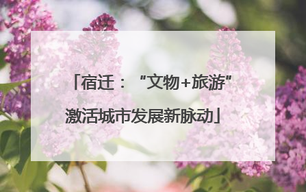 宿迁：“文物+旅游”激活城市发展新脉动