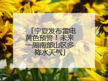 宁夏发布雷电黄色预警！未来一周南部山区多降水天气