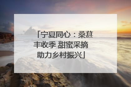 宁夏同心：桑葚丰收季 甜蜜采摘助力乡村振兴