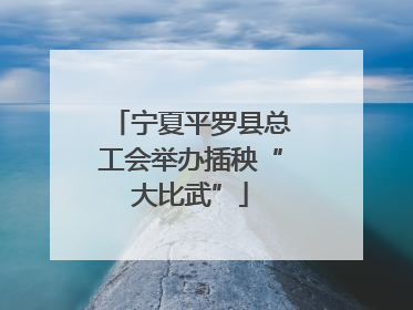 宁夏平罗县总工会举办插秧“大比武”