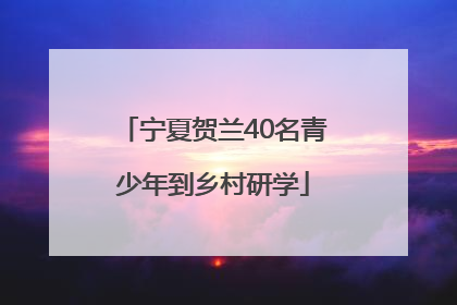 宁夏贺兰40名青少年到乡村研学