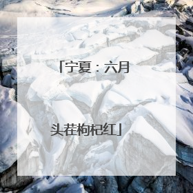 宁夏：六月头茬枸杞红